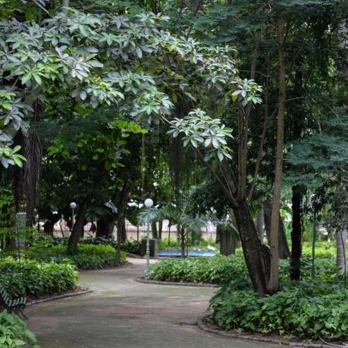 BM: Mutirão de limpeza será realizado no Jardim das Preguiças neste sábado